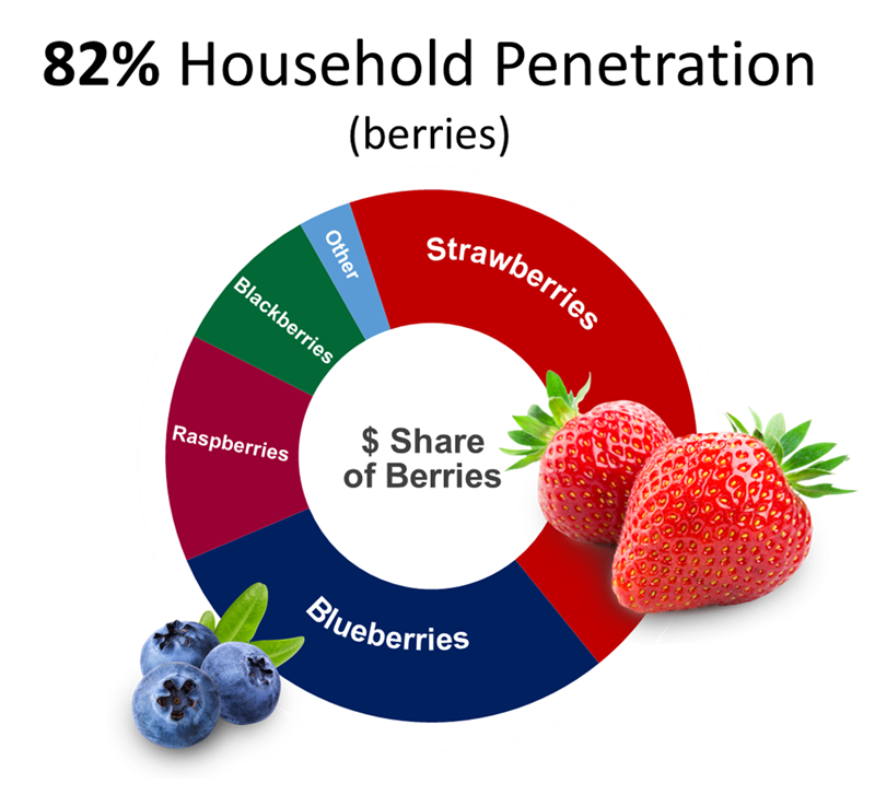 Pie chart showing that 82% of household penetration is berries.