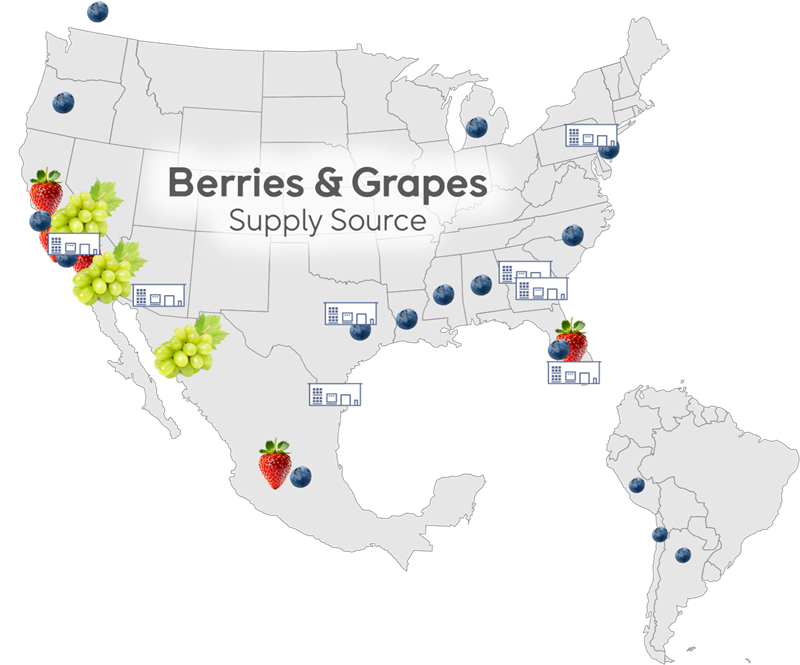 Map of the US of berries and grapes supply source.