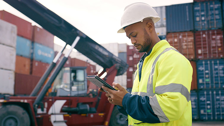 C.H. Robinson customs freight market update