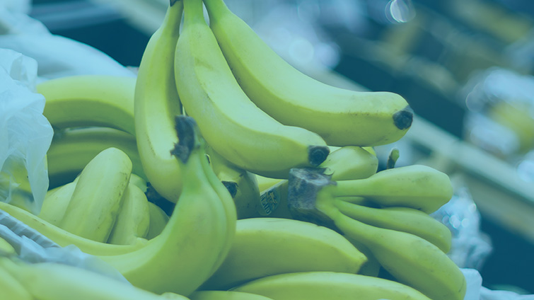 C.H. Robinson retail logistics freight market update